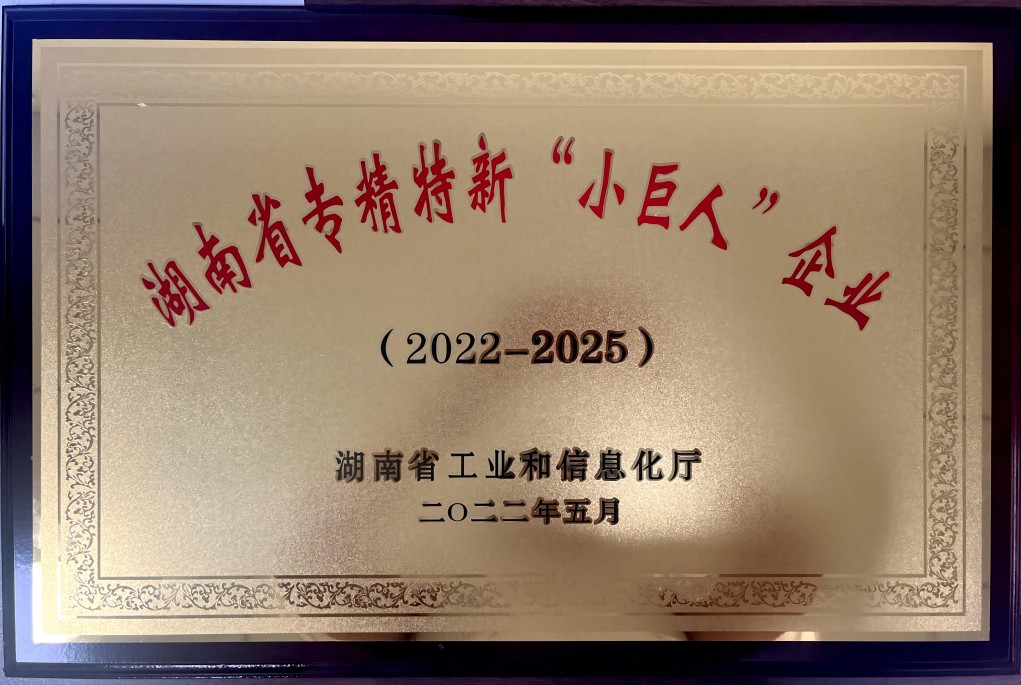 湖南省专精特新小巨人企业